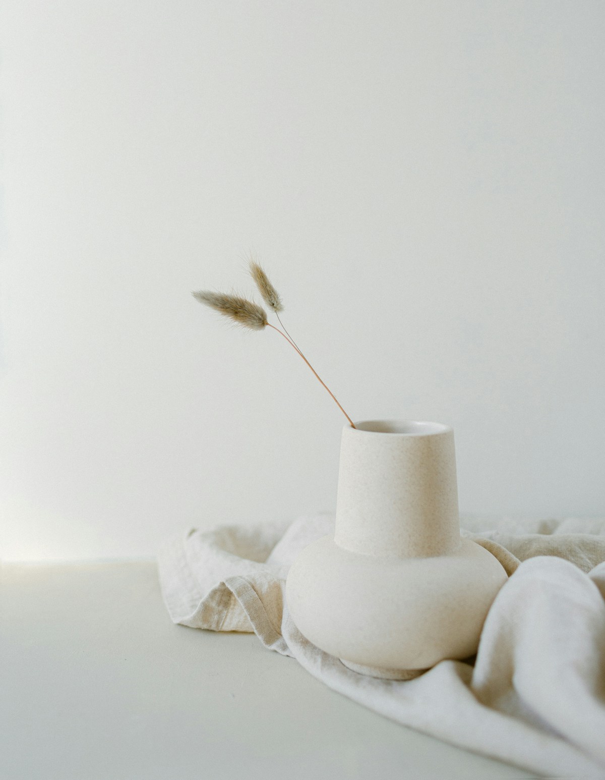 A sculptural white ceramic vase with delicate dried stems